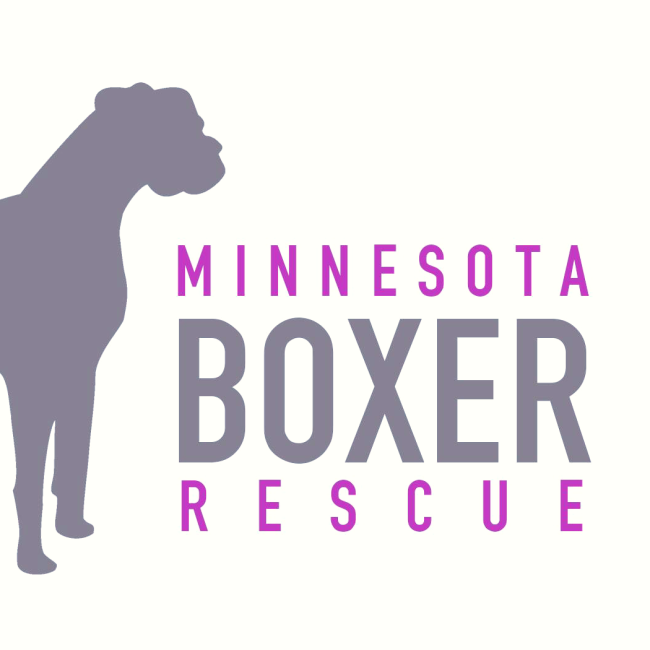 Minnesota Boxer Rescue, Woodbury, Minnesota